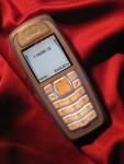 Nokia 3100