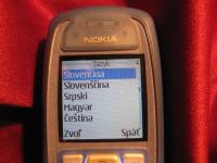 Nokia 3100